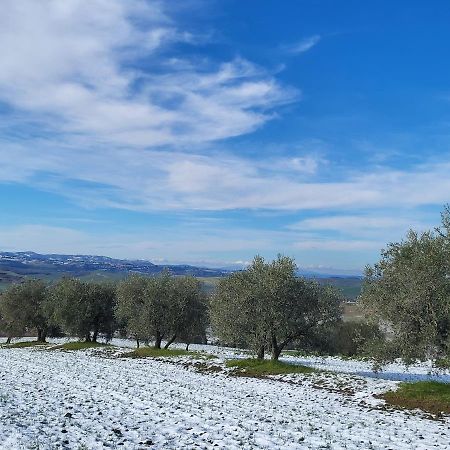ホテル Dimora In Francigena サン・クイーリコ・ドルチャ エクステリア 写真