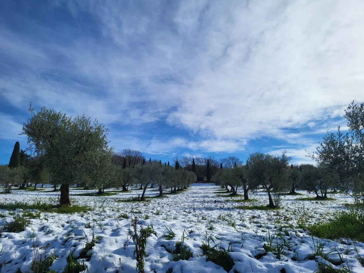 ホテル Dimora In Francigena サン・クイーリコ・ドルチャ エクステリア 写真
