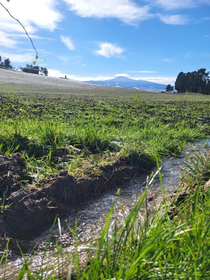 ホテル Dimora In Francigena サン・クイーリコ・ドルチャ エクステリア 写真